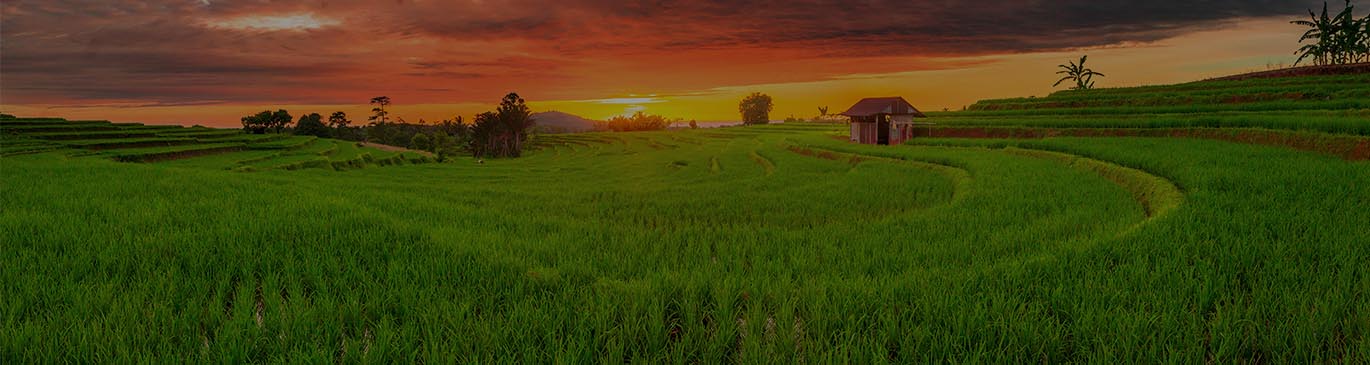 about-banner-image